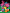 DABSMYLA - Memories from yhe Garden Party